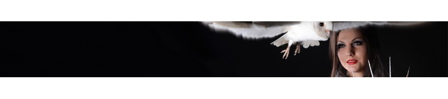 Réservez vos Formations Online de prothésiste ongulaire sur Virginie Magic'Art